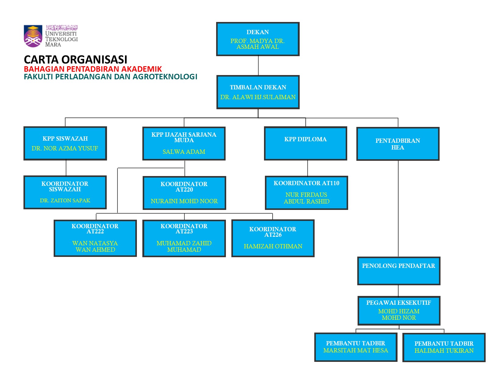Organization Chart